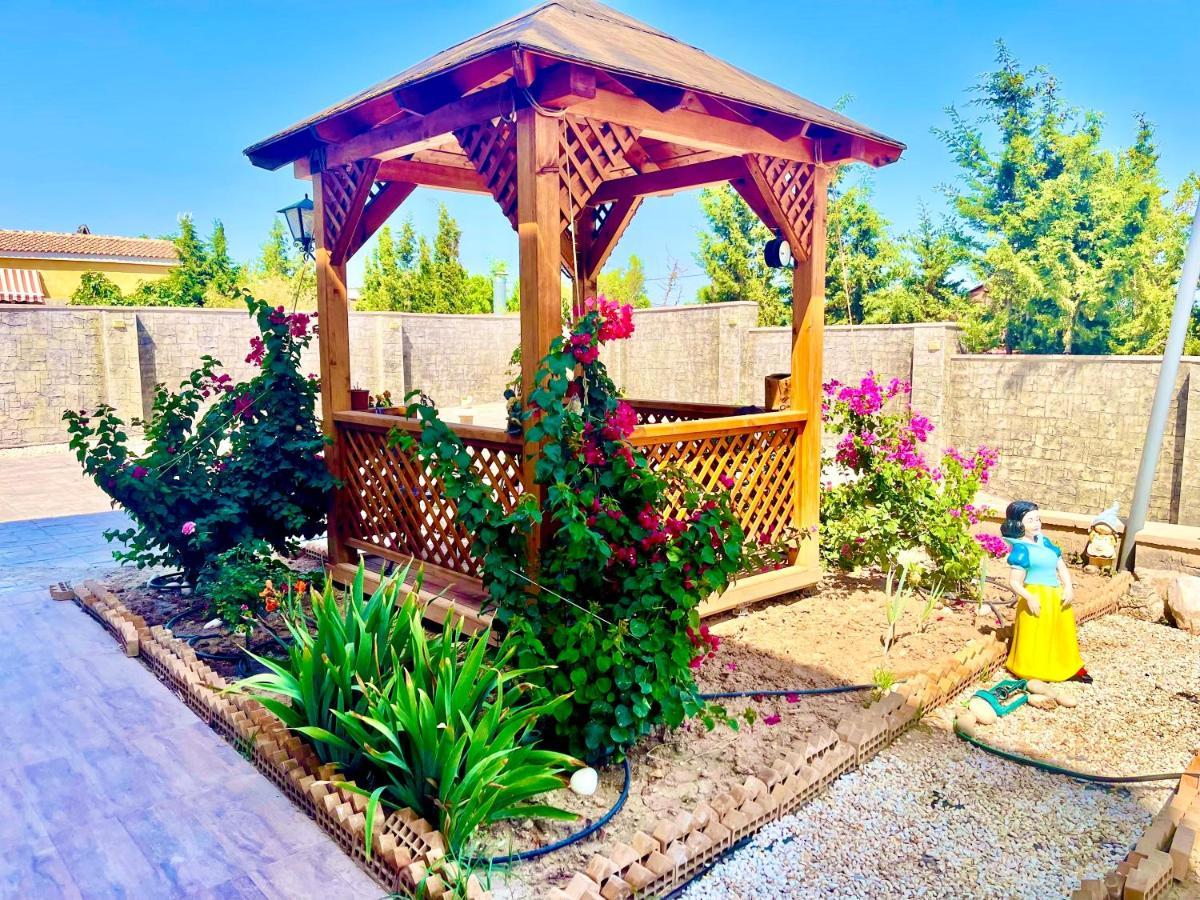Montainbeach San Vicente Raspeig Exterior foto