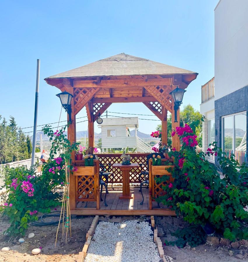 Montainbeach San Vicente Raspeig Exterior foto